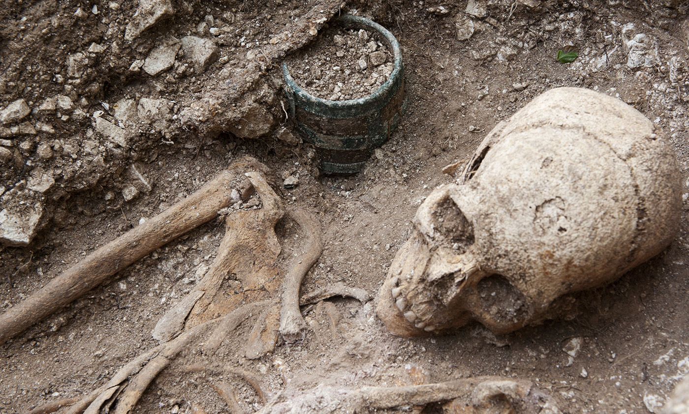 <p>Anglo-Saxon burial site at the Barrow Clump, Salisbury Plain, Wiltshire. <em>Photo Rexfeatures</em></p>