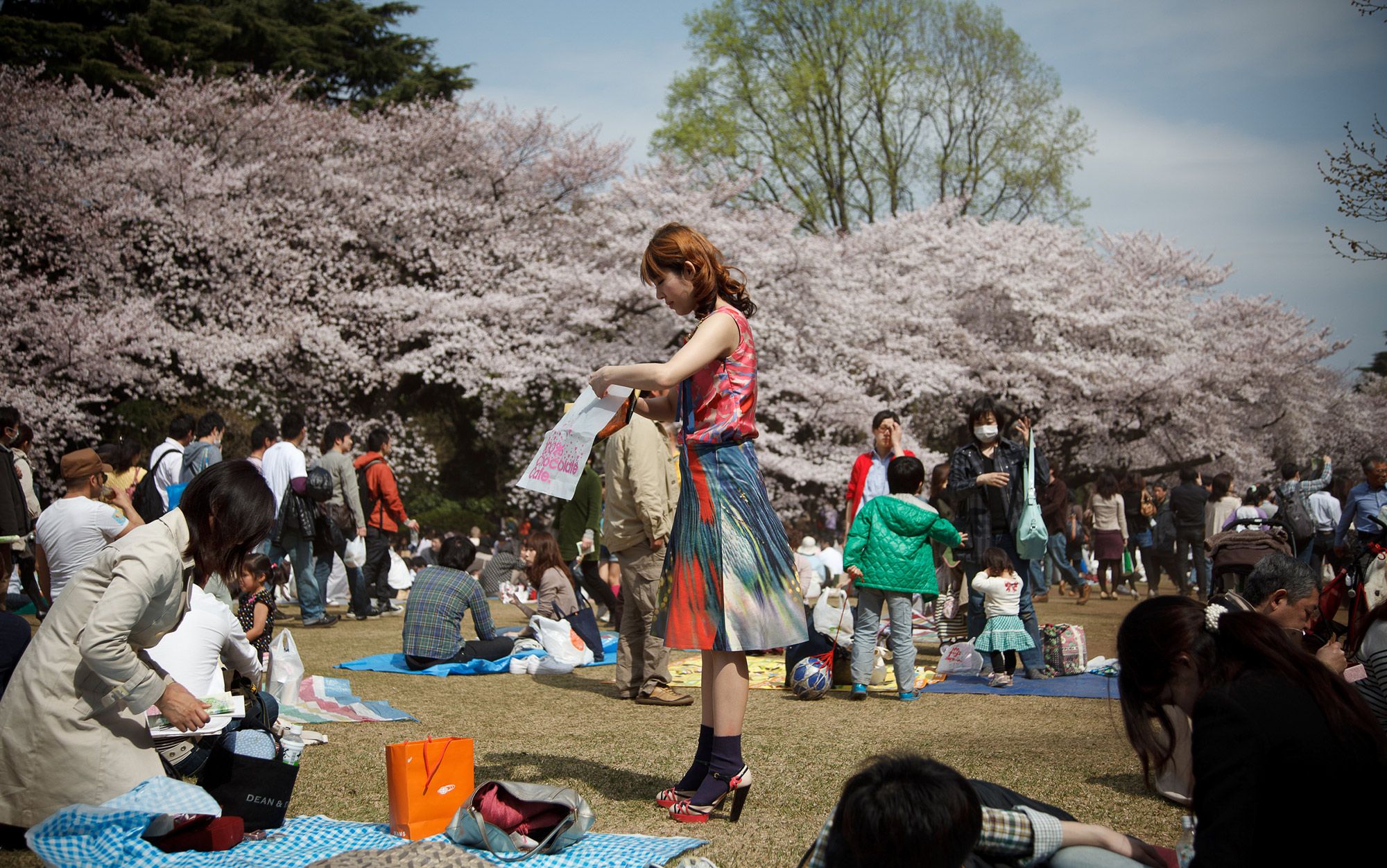 Sakura Picnic Party