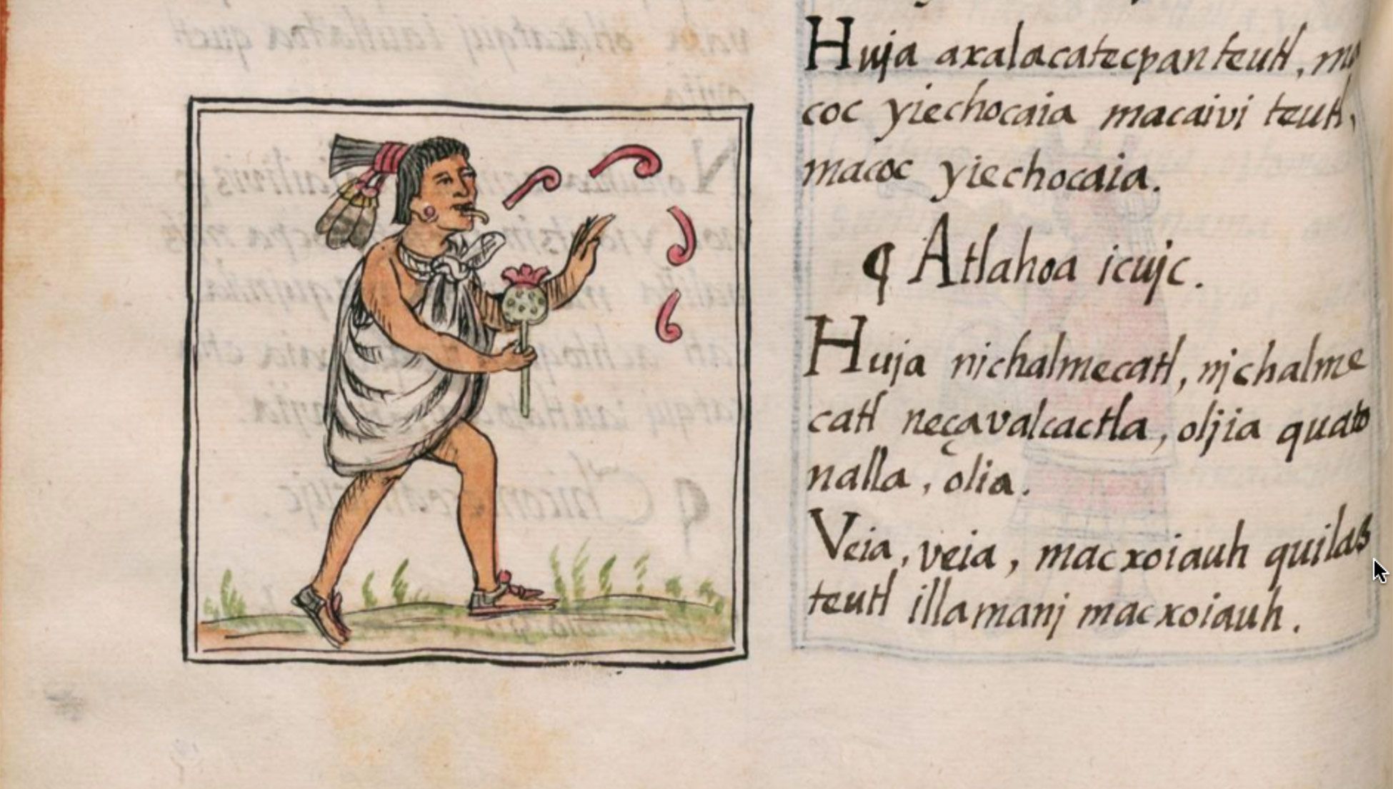 150-examples-of-nahuatl-words-and-their-meaning-mexico-daily-post