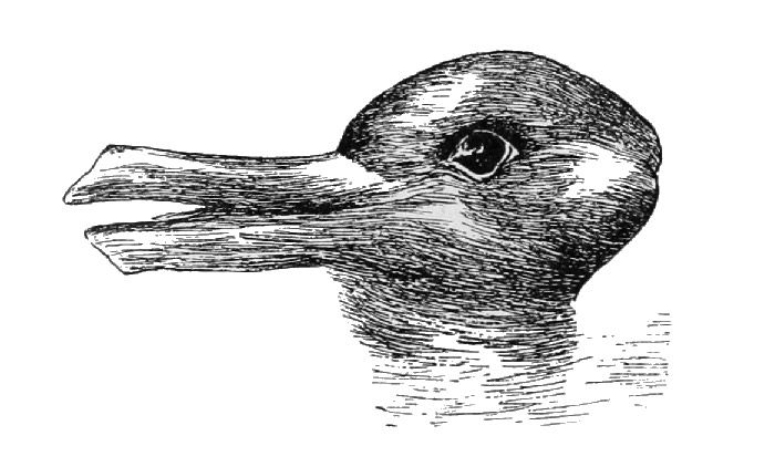 Optical illusion of a rabbit or a duck