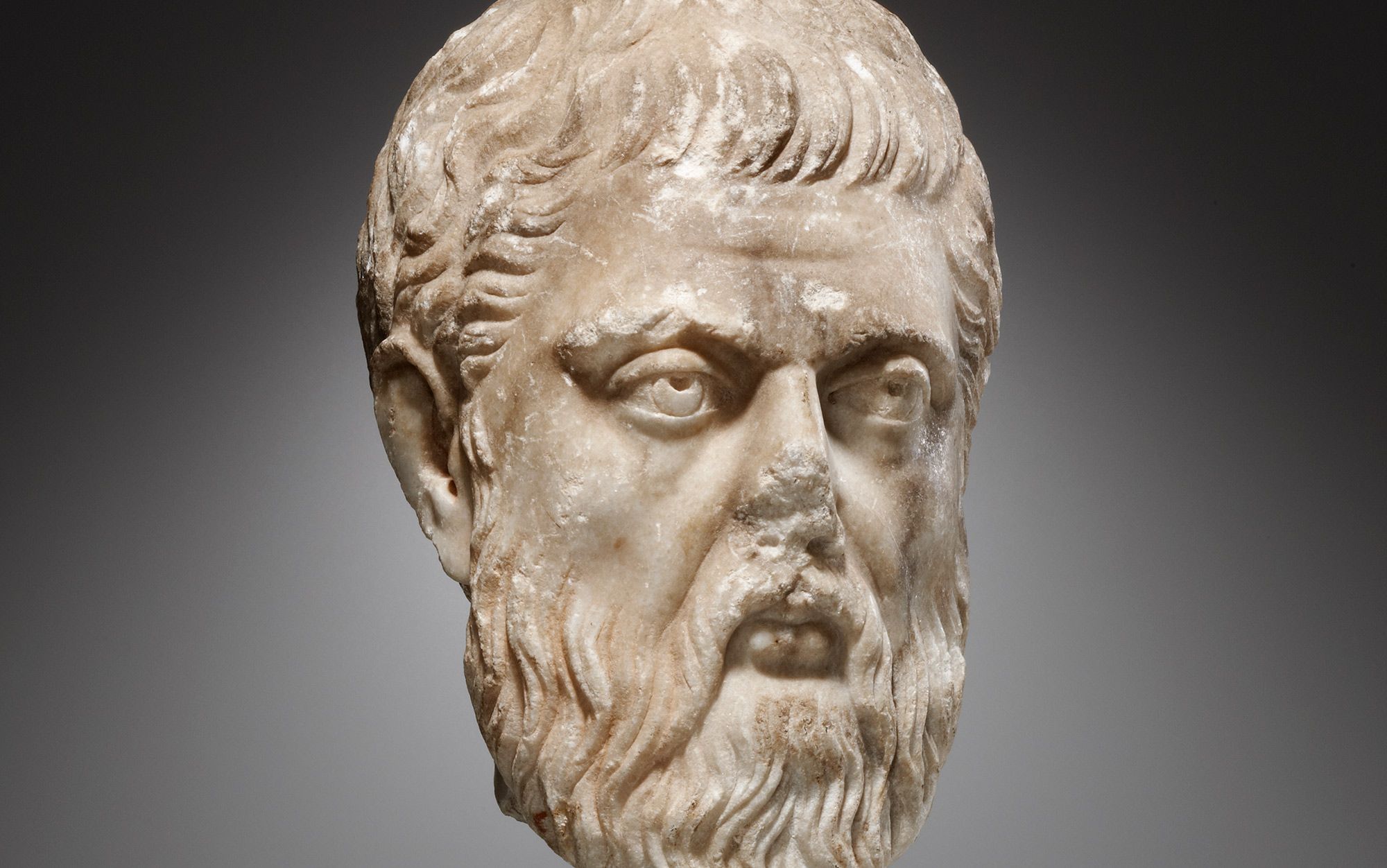 Plato: Books, Life, and Philosophy
