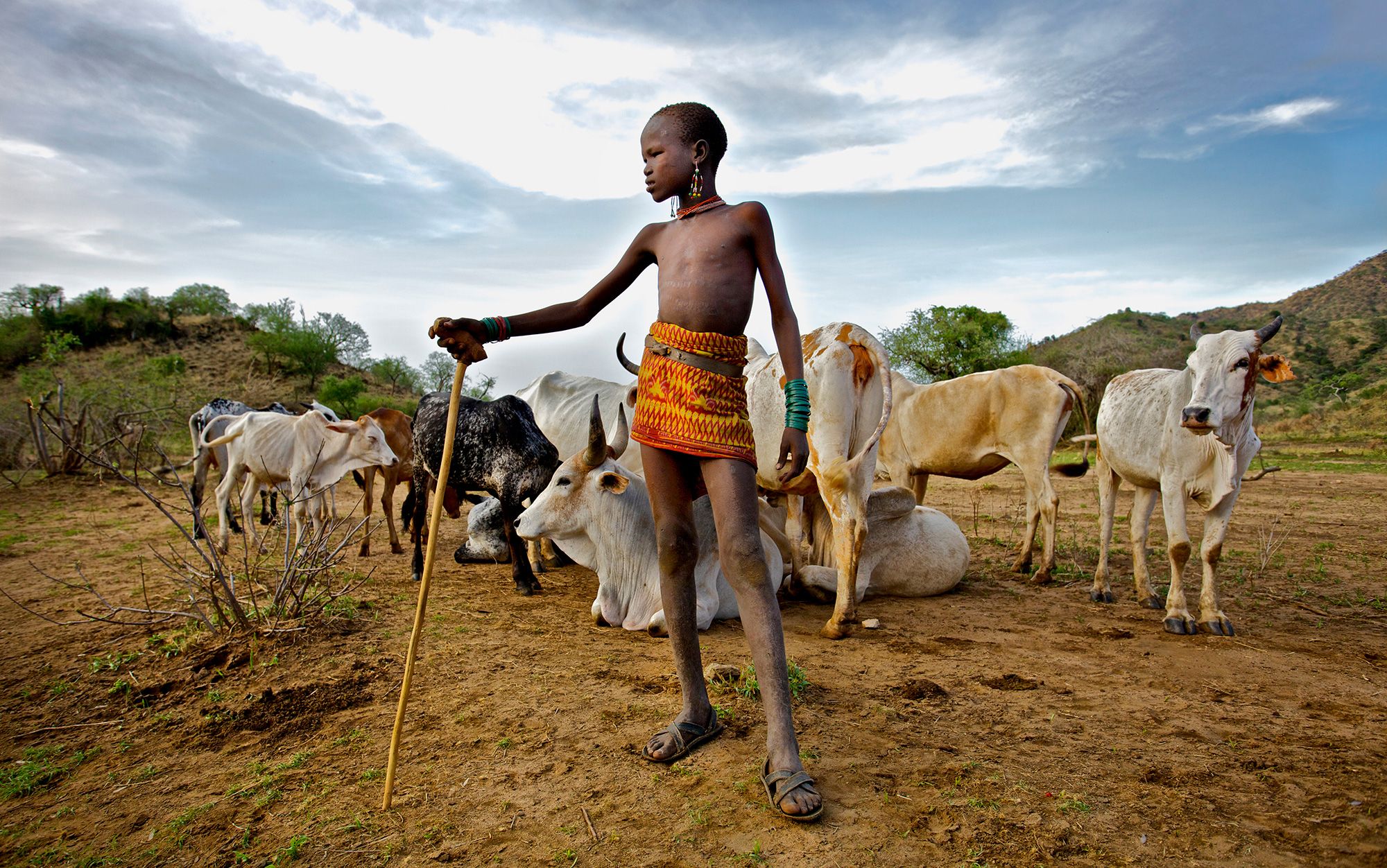 What pastoralists know | Aeon