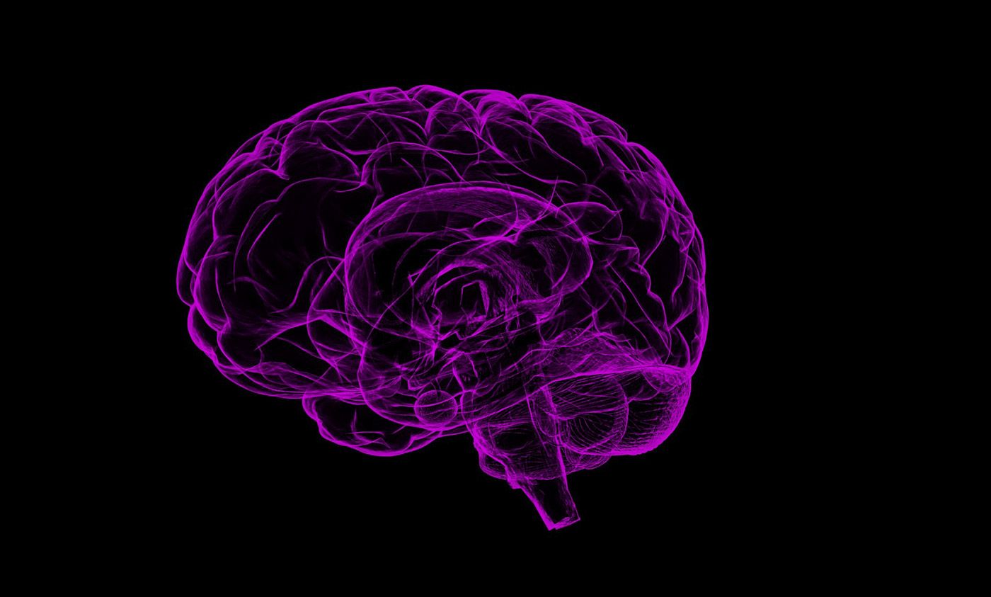 Even if genes affect intelligence, we can’t engineer cleverness | Aeon