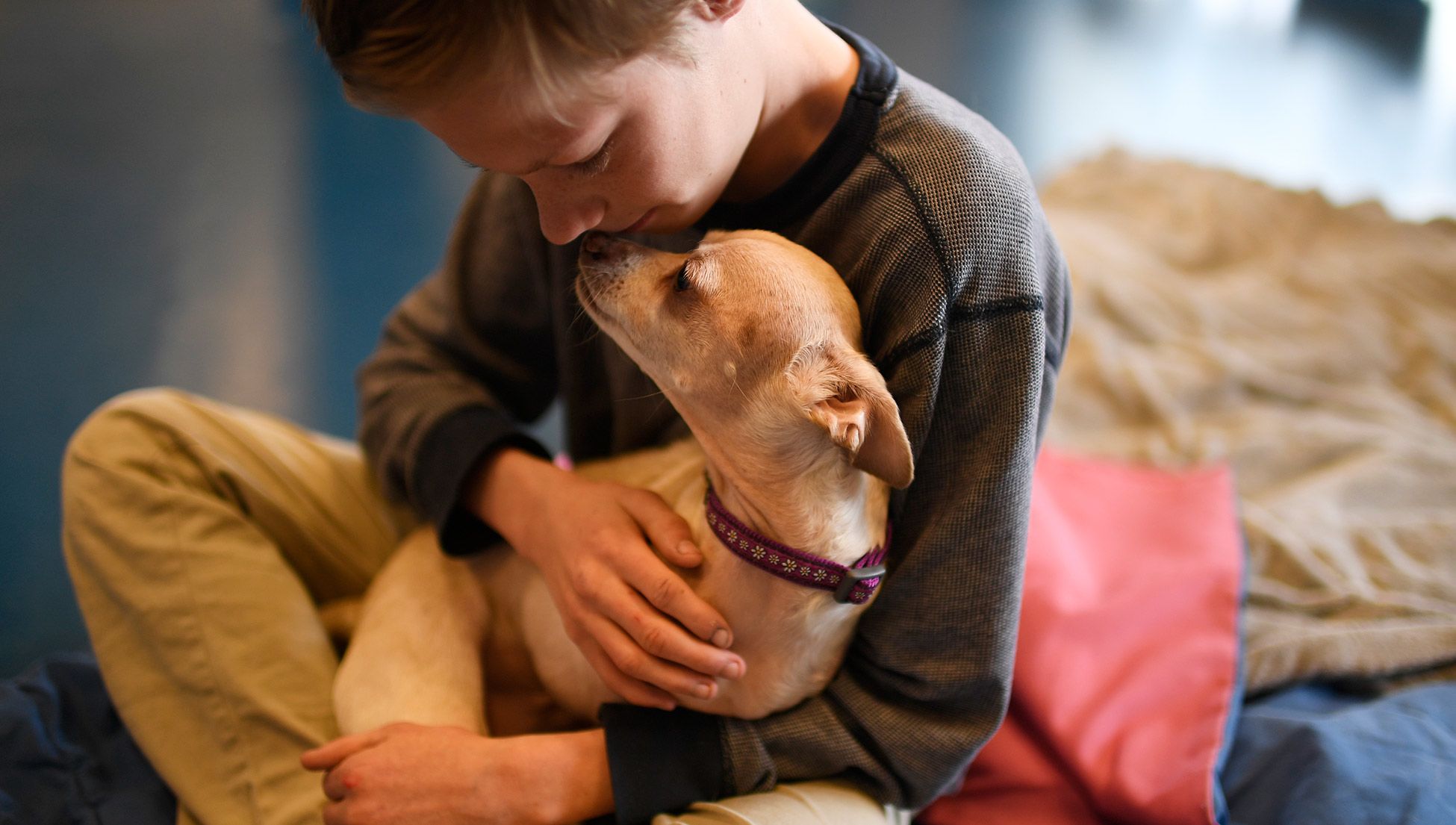 Time to move beyond the anecdotes around animal-assisted therapies | Psyche